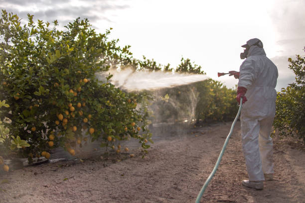 Best Residential Pest Control  in Portland, TN