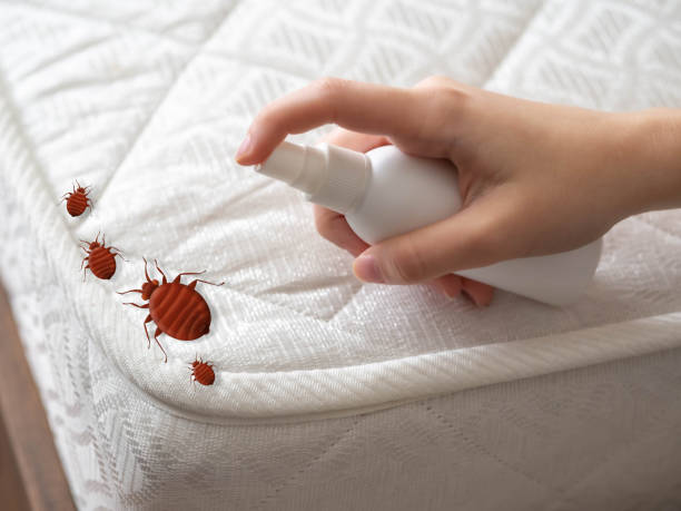 Best Flea Control Services  in Portland, TN