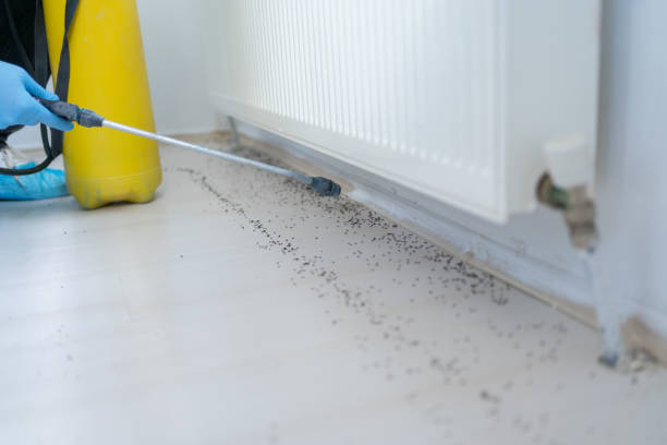 Best Affordable Pest Control Services  in Portland, TN
