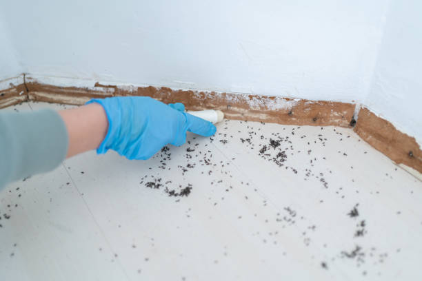 Portland, TN Pest Control Company