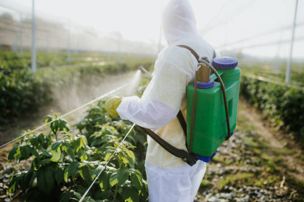Best Pest Removal Services  in Portland, TN